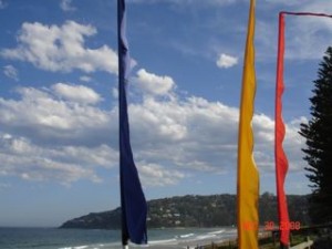 Flags Flags